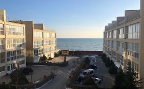 Морская жемчужина